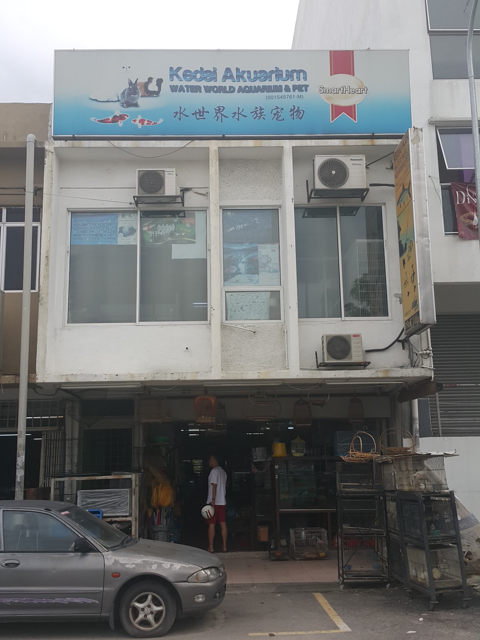 Wang wang aquarium and pets旺旺水族馆 10