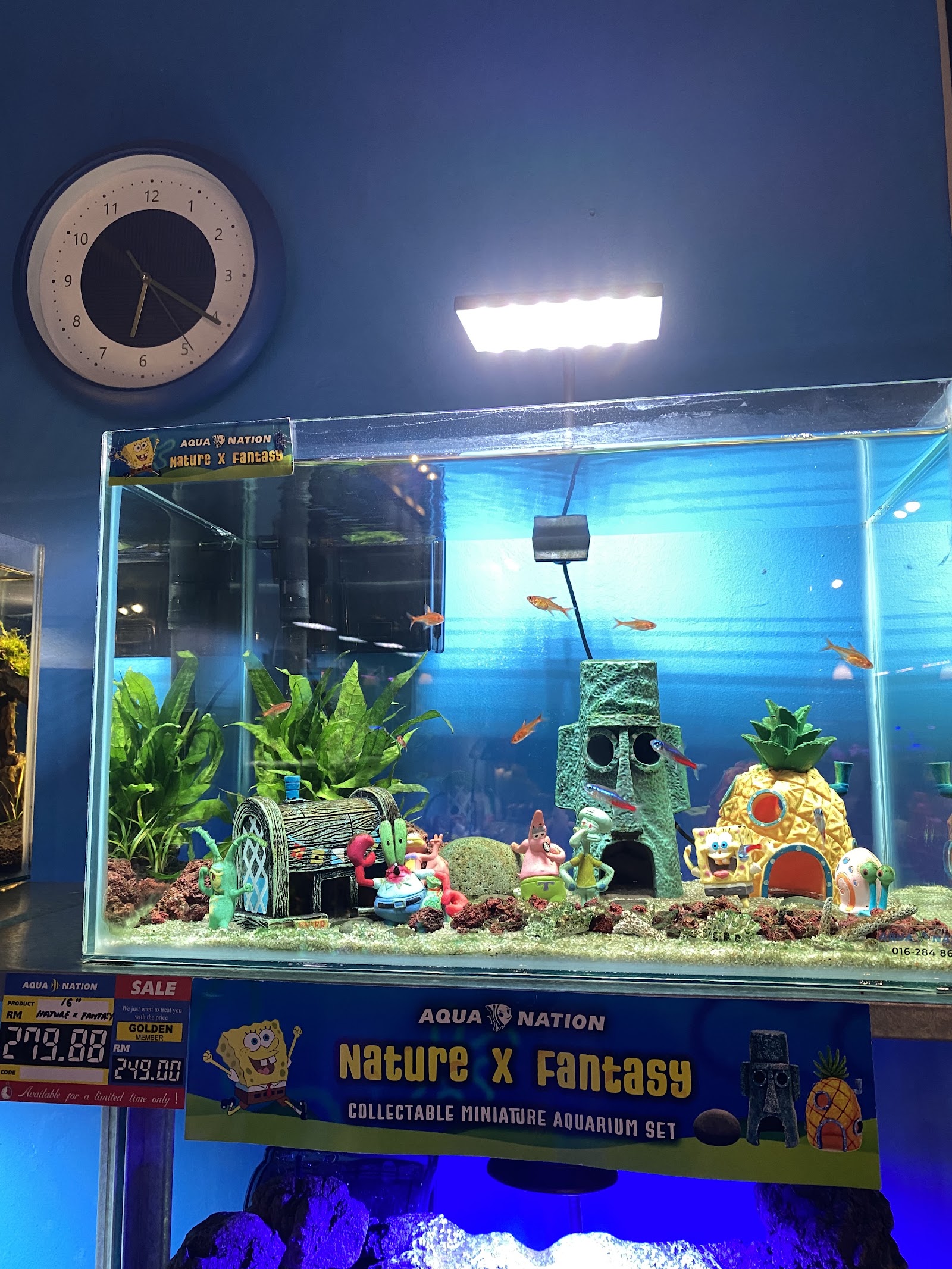 Wang wang aquarium and pets旺旺水族馆 11